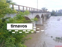 Ponte