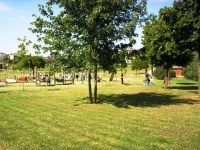 Bambini al Parco Ranieri