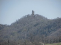 La torre si erge in mezzo al verde